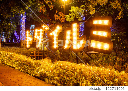 イルミネーションが輝くイルミネーション イルミネーションが輝くイルミネーション 122715003