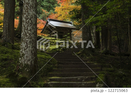 来迎院の紅葉 来迎院の紅葉 122715063