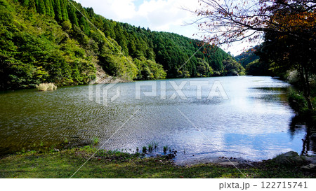 一の俣桜公園の蒼霧と錦鯉 122715741
