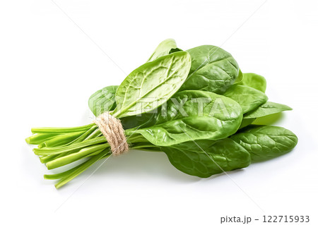 ほうれん草のイメージ素材 122715933