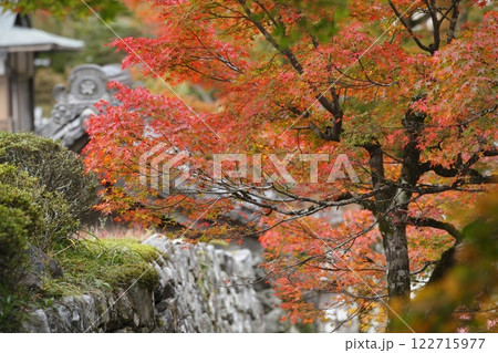実光院前の紅葉 実光院前の紅葉 122715977