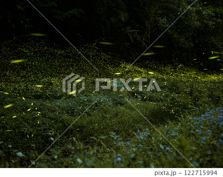 バグ 昆虫 苦悩 122715994