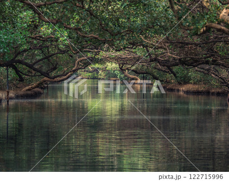 自然 天然 ナチュラル 122715996