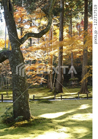 三千院の紅葉 三千院の紅葉 122717519