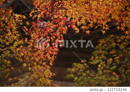 三千院の紅葉 三千院の紅葉 122718248