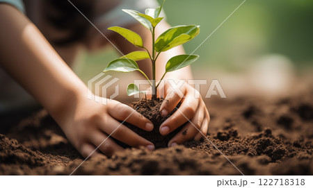 Hands Planting The Seedlings Into The Ground 122718318