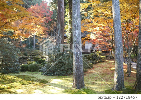 三千院の紅葉 三千院の紅葉 122718457