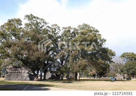 大中遺跡（兵庫県 播磨町） 122719391