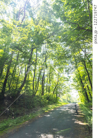 新緑・初夏のサイクリングイメージ (蒜山高原) 新緑・初夏のサイクリングイメージ (蒜山高原) 122719747
