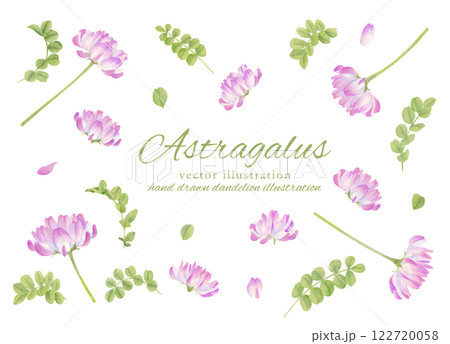 水彩で描いたレンゲソウの素材セット 122720058