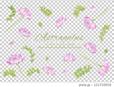 水彩で描いたレンゲソウの素材セット 122720058