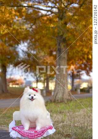 和歌山県紀の川市平池緑地公園 122720142