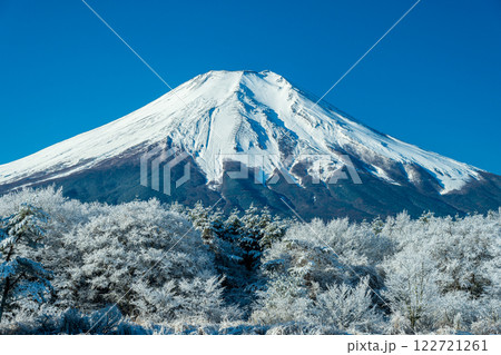 花の都公園からの霧氷の森と富士山 122721261