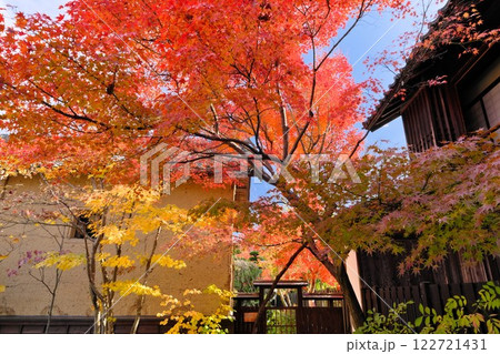 秋の信州小布施町 鮮やかな紅葉と古き家屋で風情たっぷり 122721431