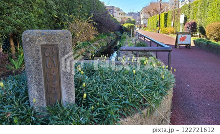 目黒川起点・烏山川緑道 122721612