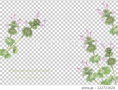 水彩で描いたホトケノザのイラスト 122721628