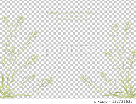 蒲公英的水彩插圖 蒲公英的水彩插圖 122721633