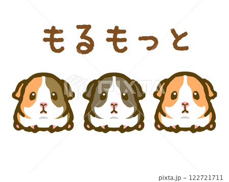 かわいい3匹のモルモットのイラスト素材2 122721711