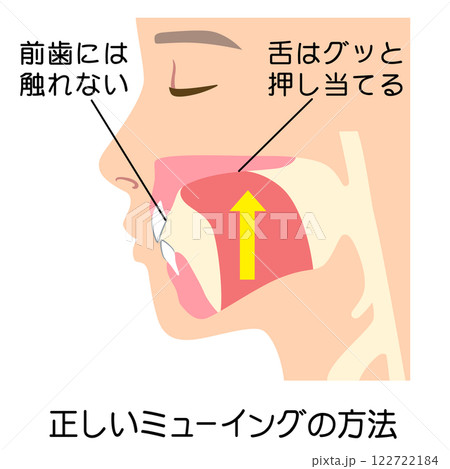 正しいミューイングの方法　適正な舌の位置 122722184