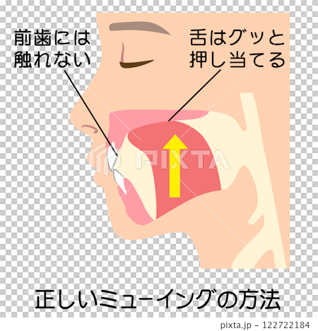 Correct Mewing Technique: Proper Tongue Position Correct Mewing Technique: Proper Tongue Position 122722184