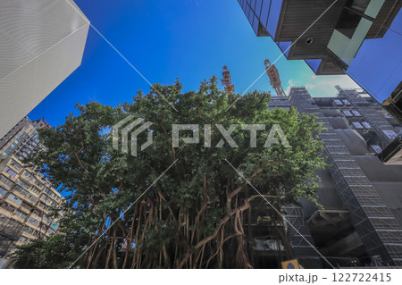 Jan 29 2025 Street at Sunning Road Vibrant Hong Kong Cityscape 122722415