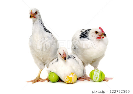 Chickens and easter eggs 122722599