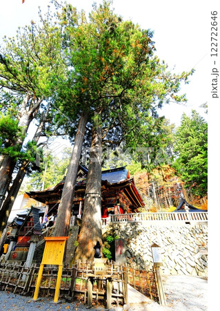三峯神社の神木 三峯神社の神木 122722646