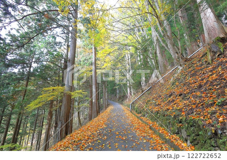 三峯神社 裏参道 三峯神社 裏参道 122722652