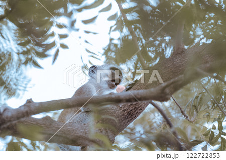 cityscape in the city 122722853