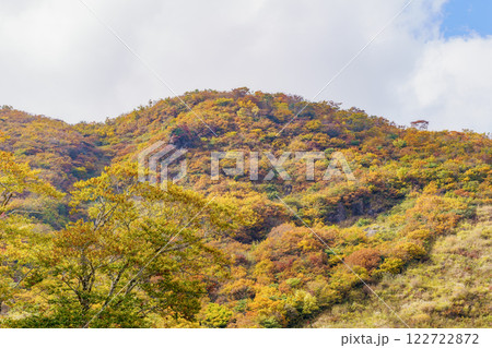 谷川岳・天神平、紅葉 122722872
