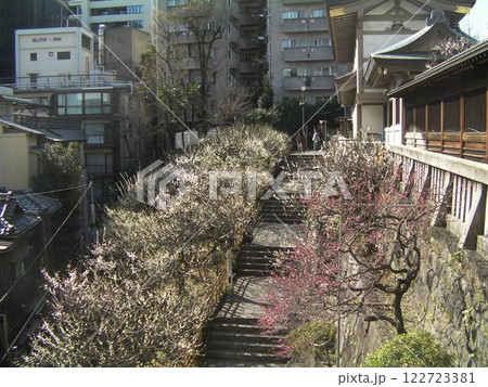 天満宮の梅階段 122723381