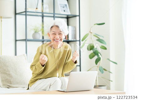 リビングでパソコンを使うシニアの女性 リビングでパソコンを使うシニアの女性 122723534