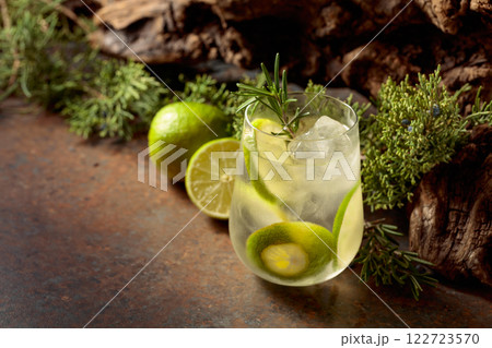 Cocktail: gin and tonic with ice, lime, and rosemary on a rustic background. Cocktail: gin and tonic with ice, lime, and rosemary on a rustic background. 122723570