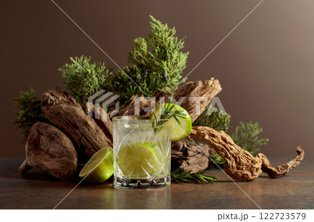 Cocktail: gin and tonic with ice, lime, and rosemary. 122723579