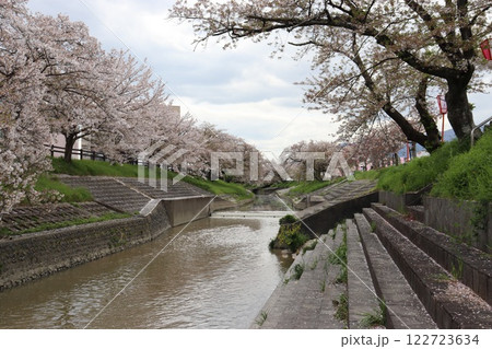 奈良県大和高田市千本桜 122723634