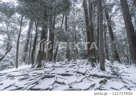鞍馬寺　奥の院参道　雪に埋もれた木の根道 122723988