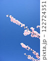 青空に映える桜 122724351