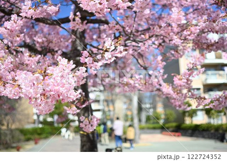満開の桜のある風景 122724352