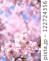 春の青空に映える桜 122724356