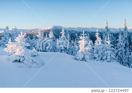 Fantastic winter landscape. Magic sunset in the mountains a frosty day. On the eve of the holiday. The dramatic scene. Carpathian, Ukraine, Europe. 122724497