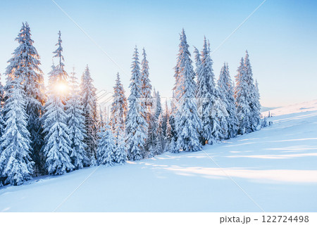 Fantastic winter landscape. Magic sunset in the mountains a frosty day. On the eve of the holiday. The dramatic scene. Carpathian, Ukraine, Europe. 122724498