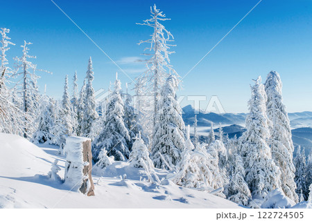 Fantastic winter landscape. Magic sunset in the mountains a frosty day. On the eve of the holiday. The dramatic scene. Carpathian, Ukraine, Europe. 122724505