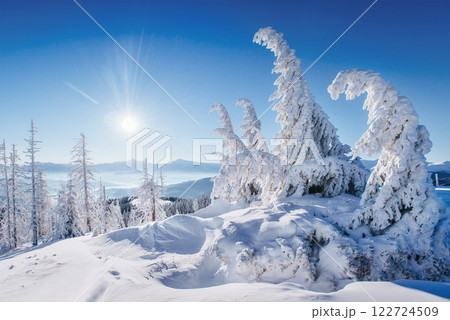 Fantastic winter landscape. Magic sunset in the mountains a frosty day. On the eve of the holiday. The dramatic scene. Carpathian, Ukraine, Europe. 122724509