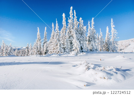 Fantastic winter landscape. Magic sunset in the mountains a frosty day. On the eve of the holiday. The dramatic scene. Carpathian, Ukraine, Europe. 122724512