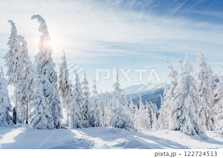 Fantastic winter landscape. Magic sunset in the mountains a frosty day. On the eve of the holiday. The dramatic scene. Carpathian, Ukraine, Europe. Fantastic winter landscape. Magic sunset in the mountains a frosty day. On the eve of the holiday. The dramatic scene. Carpathian, Ukraine, Europe. 122724513