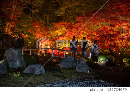 People enjoy autumn folaige garden light up, Kurodani, Kyoto 122724679