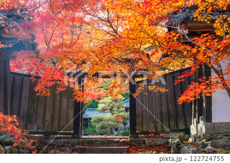 Wood gate with autumn maple leaves at Nisonin Temple, Arashiyama 122724755