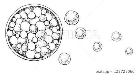 Make-up palette powder blush eye shadow contour highlighter bronzer, isolated composition, detailed line vector sketch hand drawn in ink. Beauty parlor salon illustration, packaging, cosmetics shop 122725066