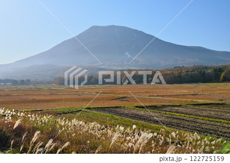 晩秋の信州信濃町 田畑の草紅葉とススキが黒姫山を装う 晩秋の信州信濃町 田畑の草紅葉とススキが黒姫山を装う 122725159