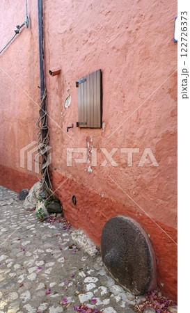 A climbing plant twined around a gutter pipe. 122726373